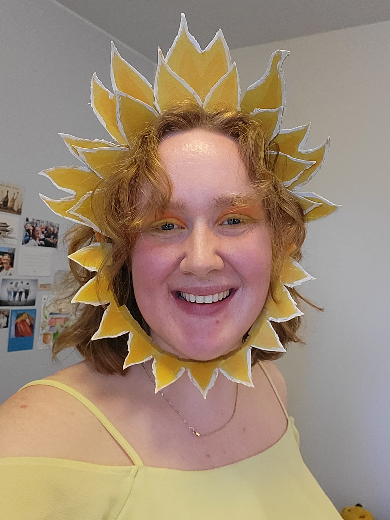 The sun
