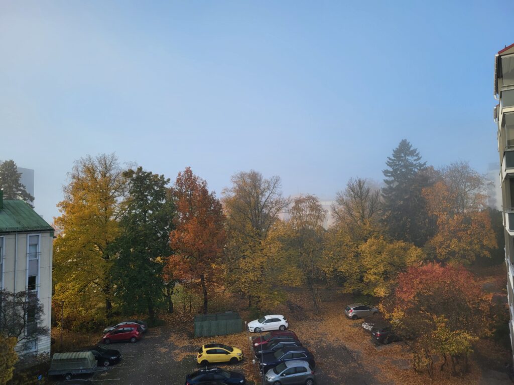 Herfstbomen met een laag ochtendmist in Tampere