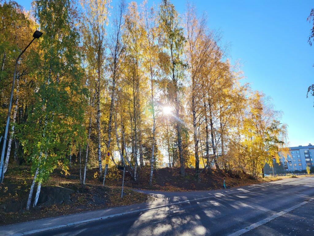Herfstnatuur in Tampere met gekleurde bomen en een kraakheldere lucht